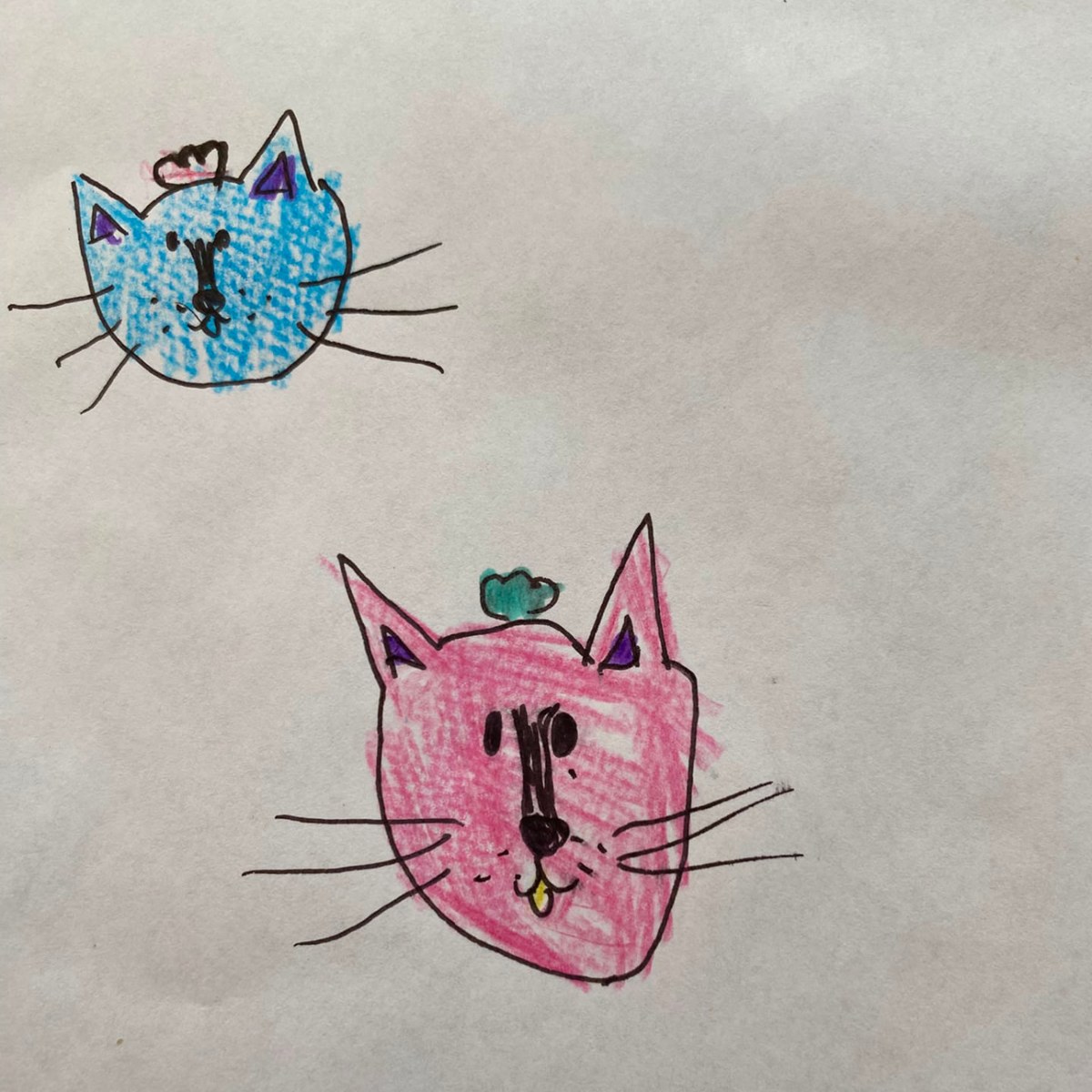 Mila's original cat drawings on paper, kept exactly as they were drawn